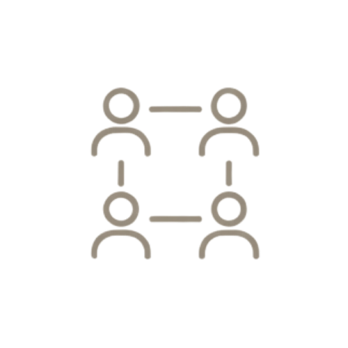 Connection icon